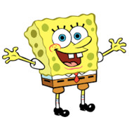 É O BOB