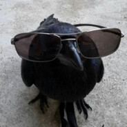 Qrowbalt