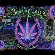 Kamikaze_519