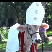 Enriqo Mascarado ♥♥♥♥♥♥♥♥♥♥