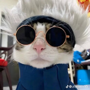 坤風之子