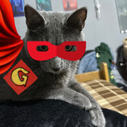 BUSCO A GATONCIO