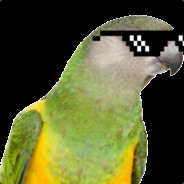 BomfireParty