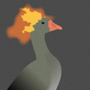 FlaminGoose