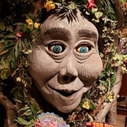 Tracie Tree