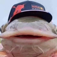 Verstappen Peek