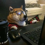 Mogiskb0y