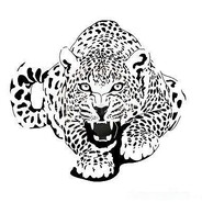 SnowCat