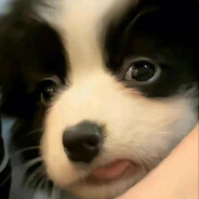 Lee林
