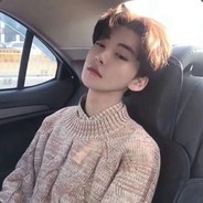 张艺兴哥哥
