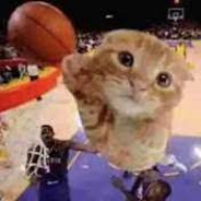 ballincat43