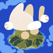 Napcat Studio