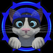 MagicCat