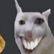 den!z
