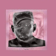 Tyler, the protector