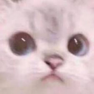 Okurbora