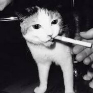 ヘッド・ショット™