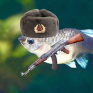 lil fish