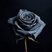 Rhapsody