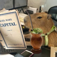 CAPIVARA