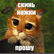 дай писечку свою