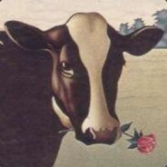 Steam profile picture for @lactose
