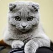 TUNA BY