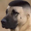 Apex