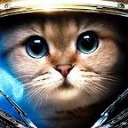 SGT.KITTY
