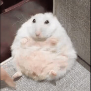 :(