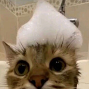 IIIIII