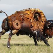 Thomas TATANKA