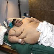 elmalditogordo