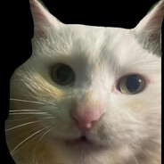 Cicapuszilgato69