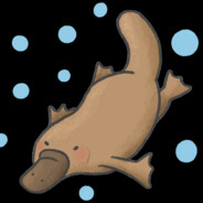Slypi