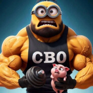 СВО Огр