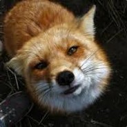 EndFoxy