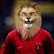 Sanchez'EE