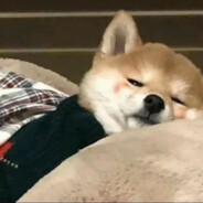 创四你