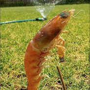 Goonius, The Unrivaled