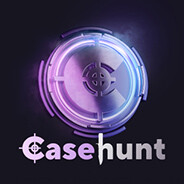 p0n4ik CASEHUNT