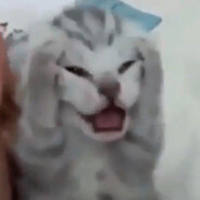 neckneckmow2