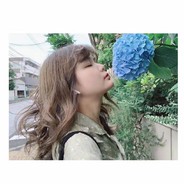 古井之鱼