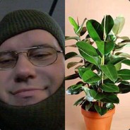 Fikus na kvadrat