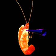 Shrimpet  tall ♥♥♥♥♥♥♥♥.pro