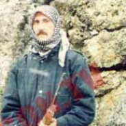 Kod : Yeşil