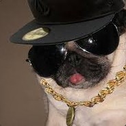 Im a Pug |pvpro.com