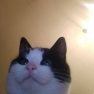 MindMeister