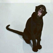 coca