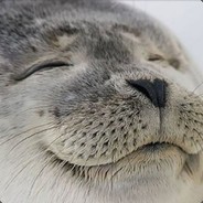 SealYouLater